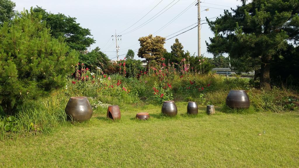 Jun House Hostel Jeju Luaran gambar