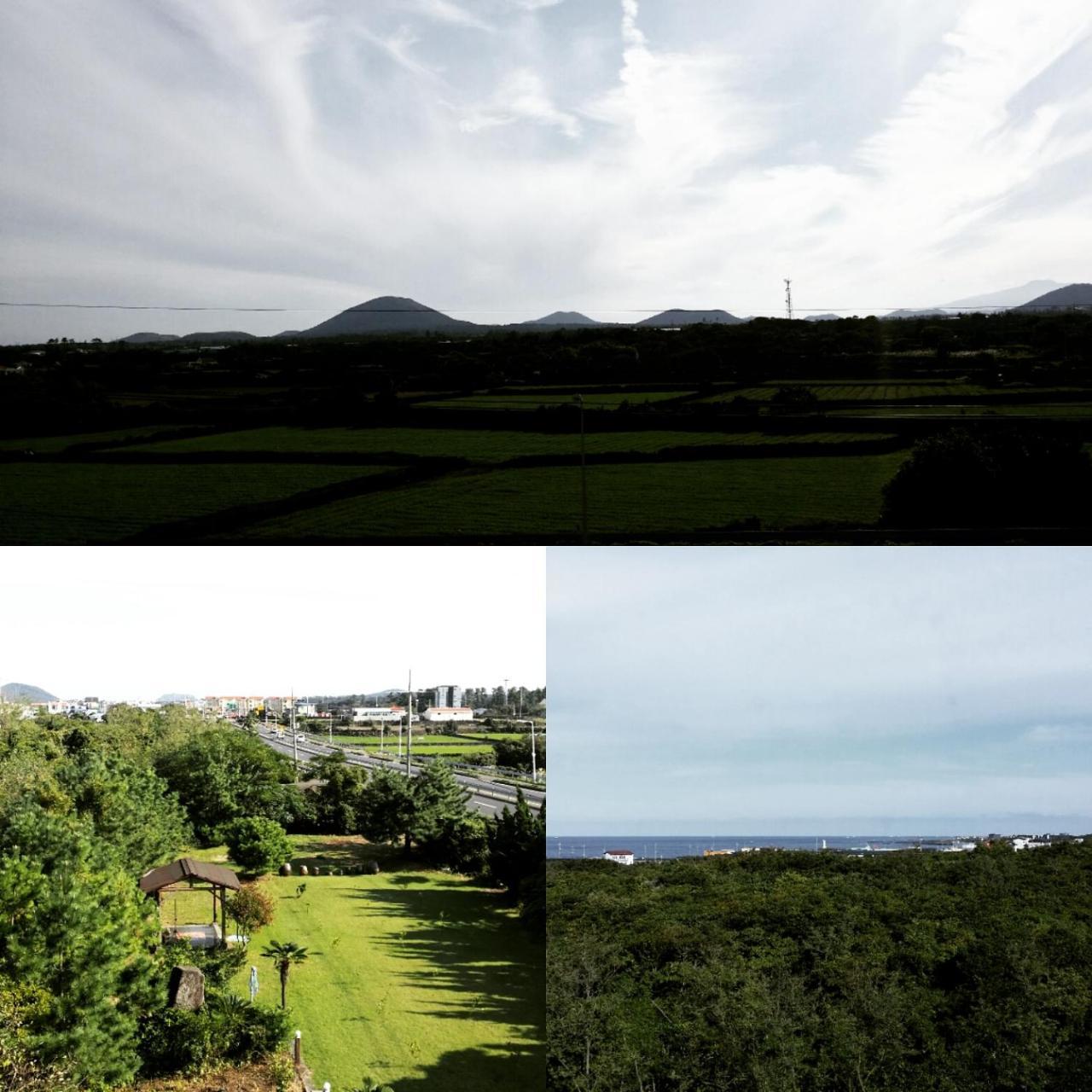 Jun House Hostel Jeju Luaran gambar