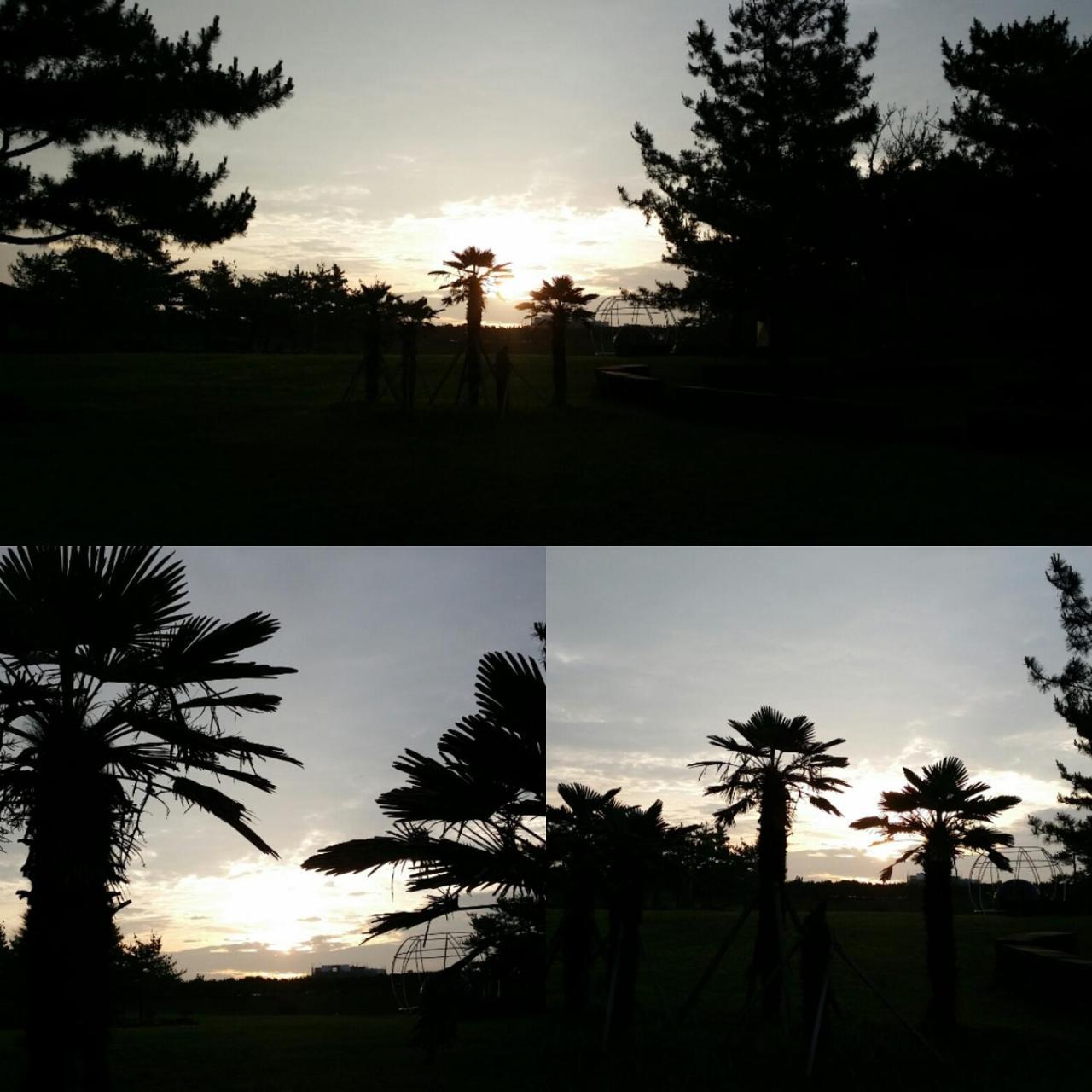 Jun House Hostel Jeju Luaran gambar
